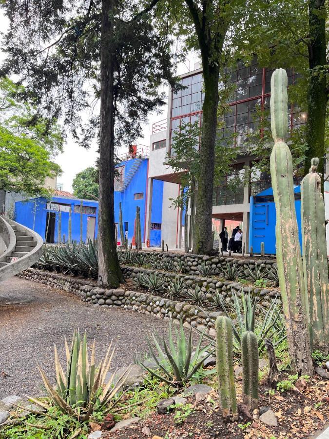 Mi Refugio San Angel Villa Mexico City Exterior photo