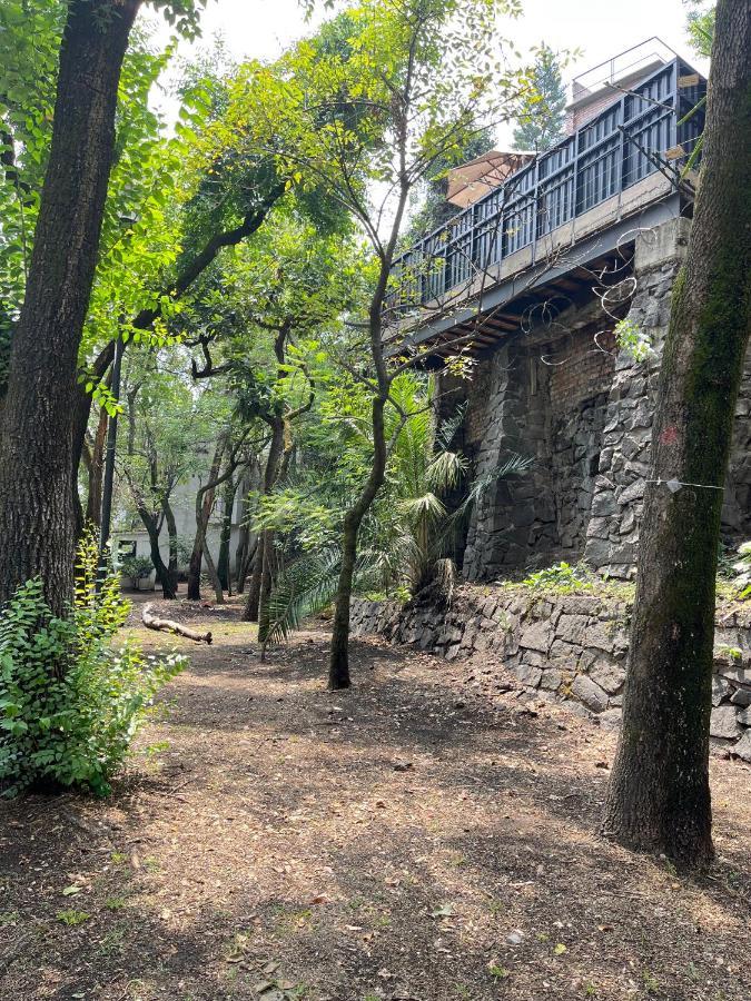 Mi Refugio San Angel Villa Mexico City Exterior photo